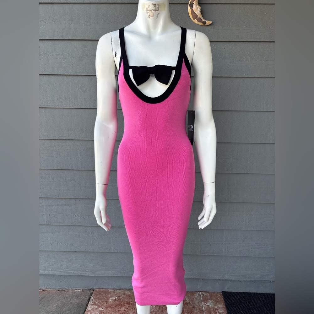 Hera Collection Pink and Black Dress